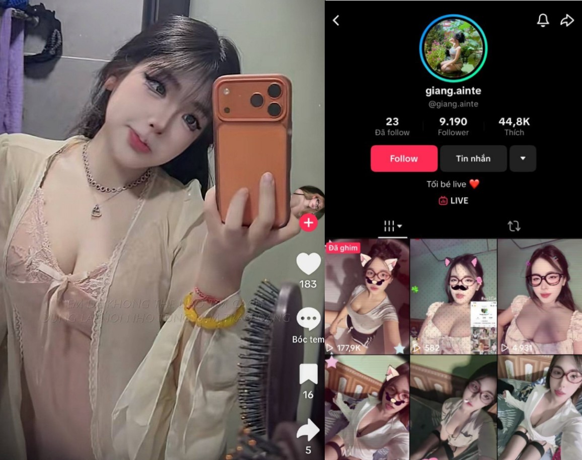 Poster of Phim sex VN idol TikTok mông cong